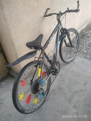 детский велосипед 6 в 1: Городской велосипед, Laux, Рама M (156 - 178 см), Б/у — 1