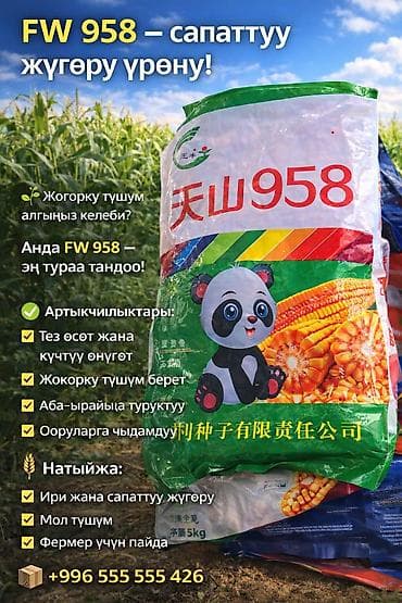 фикус чёрный принц: Кукуруза — семена гибридов из Китая 1) №5 Тяньшань (кукуруза для — 3