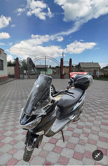 глушитель макси: Скутер/максискутер с высоким ветровым стеклом и кофром - Тип — 1