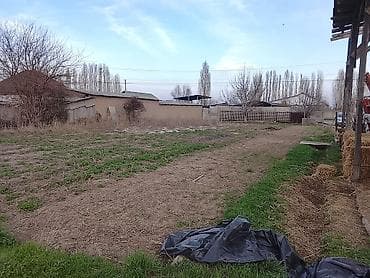 Кыймылсыз мүлк: 11 соток, Айыл чарба үчүн, Кызыл китеп, Техпаспорт — 4