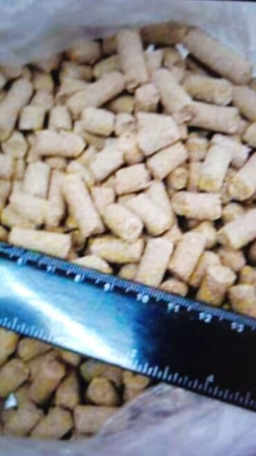 собаки рынок в бишкеке цены: Продаю рыбную муку два вида Российская и Казахстанская подсолнечный — 9