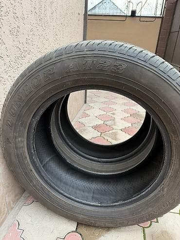 марк: Шины 265 / 55 / R 19, Всесезонная, Пара, Внедорожные (АТ/МТ), Dunlop — 1