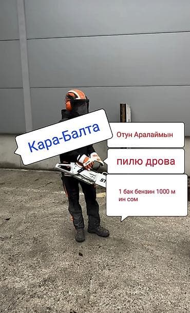 пеньки купить: Пилю дрова 1 бак бензин 1000 мин сом кара балта. Отун Аралаймын 1 бак — 1