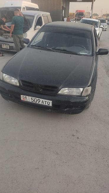 меняю варианты: Nissan Primera: 2026 г. — 1