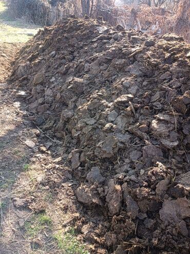 уголь продаю: Навоз — 2