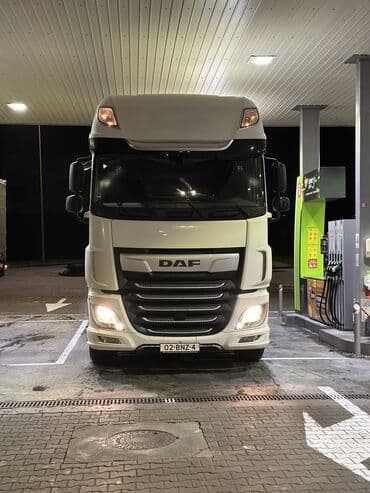 Ковролин: Сүйрөгүч, DAF, 2019 г., Тенттелген — 8