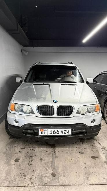 степ эреф 1: BMW X5: 2003 г., Кроссовер — 7