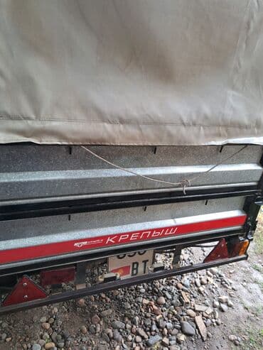 runx alex: Прицеп, Курганские прицепы, Тентованный, Б/у — 3