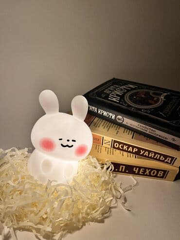 Очень милый ночник на батарейках в подарочной упаковке 🎁 at lalafo.kg Очень милый ночник на батарейках в подарочной упаковке 🎁