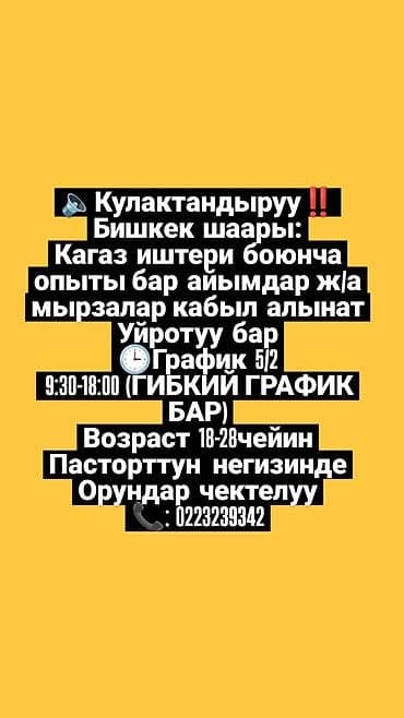 ness construction: Офис-менеджер — 1
