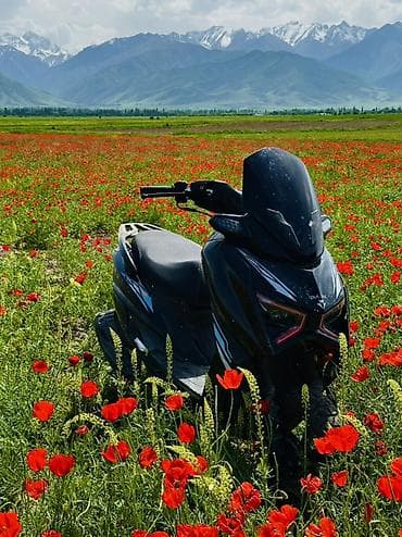 сктер: Скутер түрү 180 куб. см, Бензин, Жаңы — 1