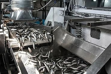 рыби: Приглашаем на работу в г. Клин МО, на завод морепродуктов. Мужчин и — 6