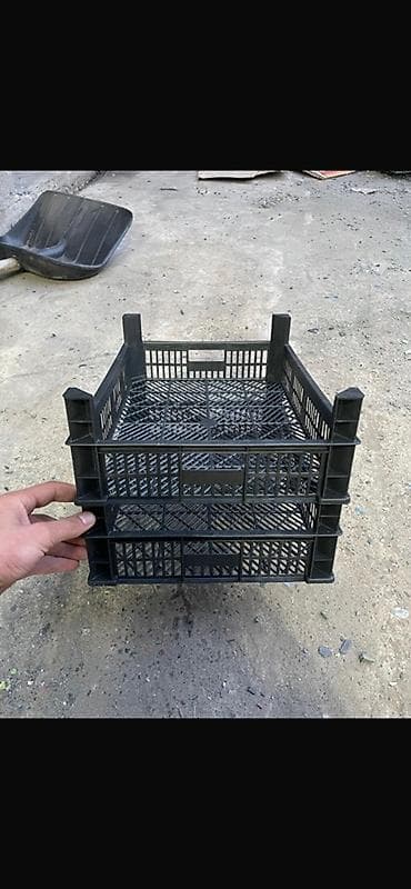 ящик для яблоки: Пластиковый Ящик — 9