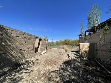 пакет одежды: Плодовый сад/участок с плодовыми деревьями. - Ухоженные ряды — 9