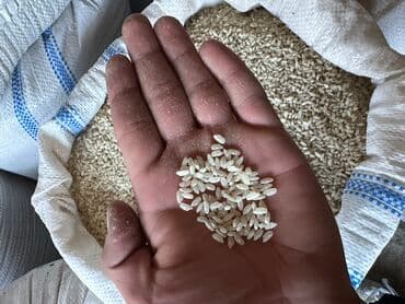 Полуфабрикаты: Ассаламу алейкум продаем РИС в ОПТОМ и на РОЗНИЦУ по хорошей цене! Рис — 6