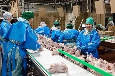 работа в расию: Требуется Упаковщик, Оплата: Дважды в месяц, Без опыта — 1
