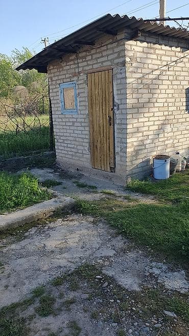 пансионат университет отзывы: 5 соток, Красная книга — 2