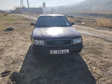 Audi 100: 1992 г., 2.8 л, Механика, Газ, Седан