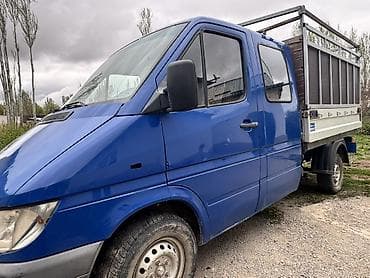 линза на спринтер: Грузовик, Mercedes-Benz, Дубль — 5