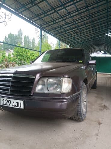Mercedes-Benz 220: 1995 г., 2.2 л, Механика, Бензин, Седан