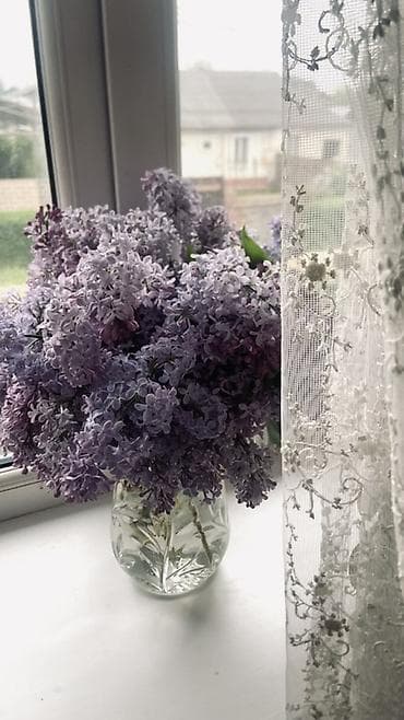 сирень цветы: Букет душистой сирени в стеклянной вазе. - Состав: свежие ветви — 1