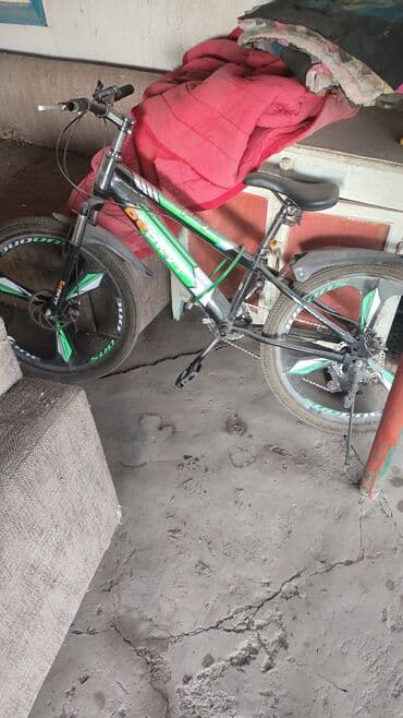 Велосипеддер: Один взрослый,один детский на 5,6 класс — 2