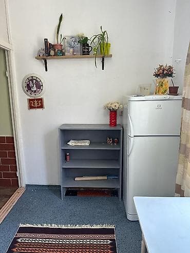 Батирлер: 1 бөлмө, Менчик ээси, Чогуу жашоосу жок, Толугу менен эмереги бар — 5