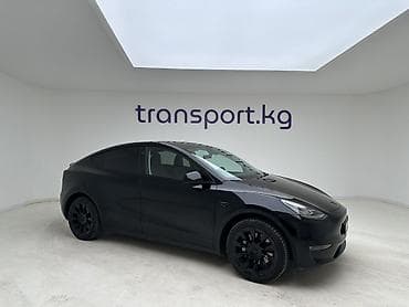 Tesla Model Y: 2023 г., Электромобиль, Кроссовер