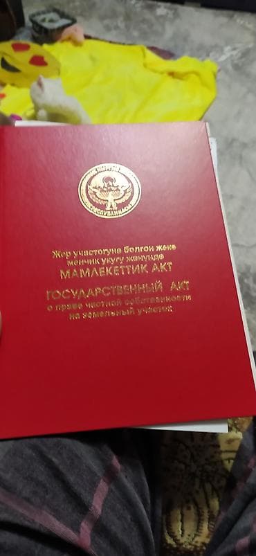 Жер тилкелери: 5 соток — 3