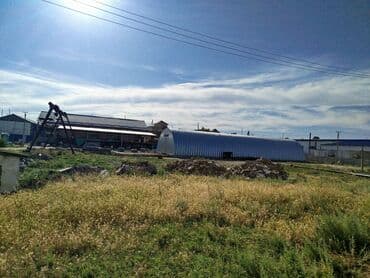 контейнер рынок дордой: Сдаю бескаркасный ангар под склад и тд 15м*47м 700 КВ метров. + — 2