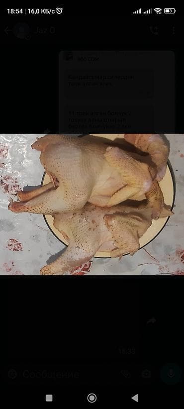 🍲 Домашние куры, свежий забой, Бишкек Свежесть — главное