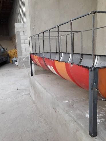 гиссарские бараны: Продаю | Овца (самка), Ягненок, Баран (самец) | Гиссарская, Полукровка, Долан | На забой, Для разведения, Для шерсти | Племенные, Котные, Кастрированные — 7