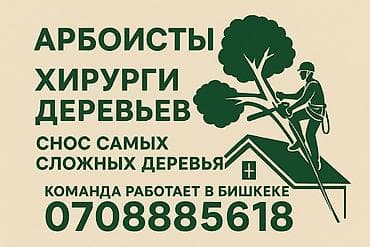 Снос аварийных деревьев, опытная команда. Снос, обрезка, повал — 2