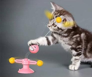 ПРОДАЮ КОШАЧЬЮ МЯТУ(АНТИСТРЕСС),ПОРАДУЙТЕ СВОГО КОТИКА ТАКОЙ — 6