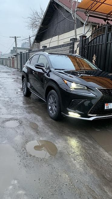 lada vesta: Lexus NX: 2019 г., 2 л, Автомат, Бензин, Кроссовер — 8
