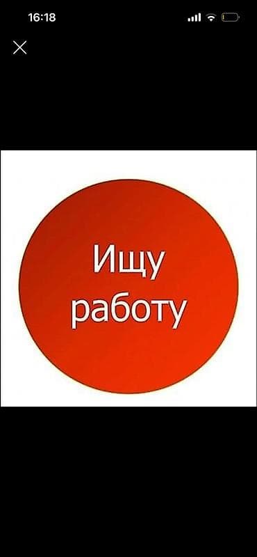 Ищу работу