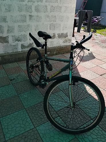 format velosiped: Горный велосипед, Рама M (156 - 178 см), Сталь — 4