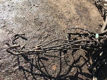 блок предохранителей: Шланг (подводка) Honda 2000 г., Б/у, Оригинал, Япония — 3