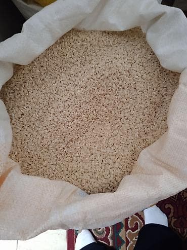 Рис в мешке
- Жалал абатынын Аланга гуручу сатылат at lalafo.kg Рис в мешке
- Жалал абатынын Аланга гуручу сатылат