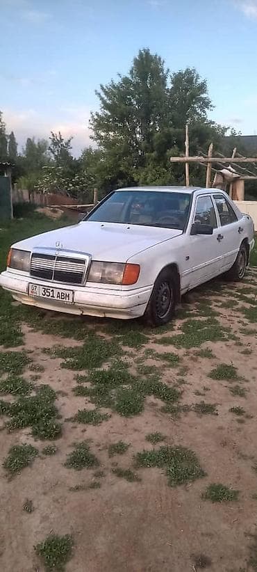 Mercedes-Benz W124: 1988 г., 2 л, Механика, Бензин, Седан