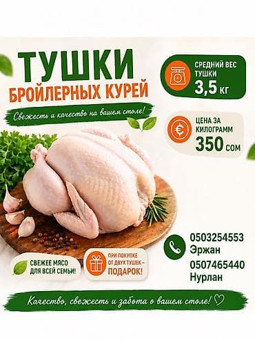 куплю мясо кролика: Тушки бройлерных кур - Средний вес одной тушки: 3,5 кг - Цена: 350 — 1