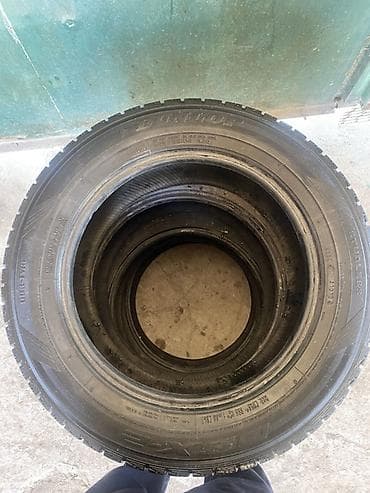 для круп: Шины 205 / 60 / R 16, Зима, Легковые, Dunlop — 1