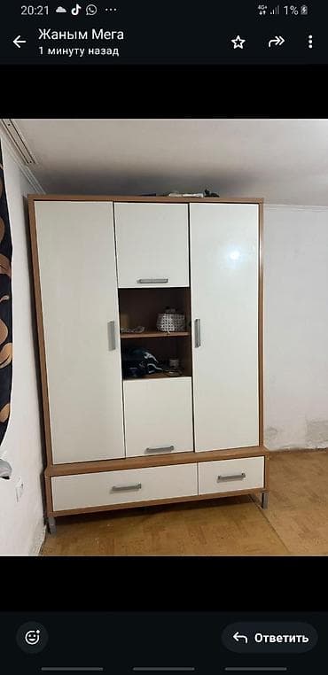 third edition solution: Шифоньер, шкаф для одежды, Прямой, ЛДСП — 1