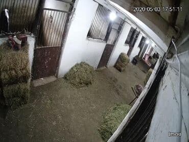 установка авто сигнализация: Установка видеонаблюдения и продажа! гарантия на монтаж 1год гарантия — 5