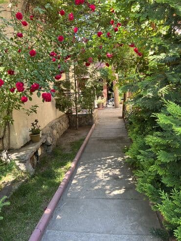 золотые пески снять домик: Номер, ГД Султан Бостери, Детская площадка, Парковка, стоянка, Охраняемая территория — 14