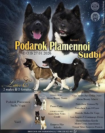 1 месяц, Самец, С прививкой, С родословной