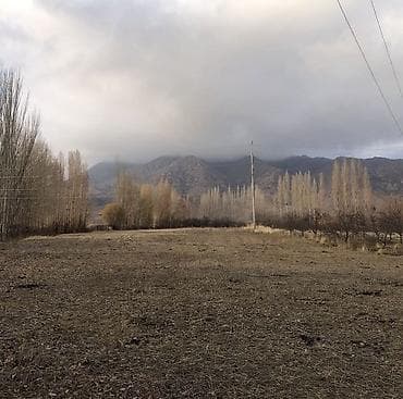 Жер тилкелерди ижарага берүү: 235 соток, Айыл чарба үчүн, Кызыл китеп — 3