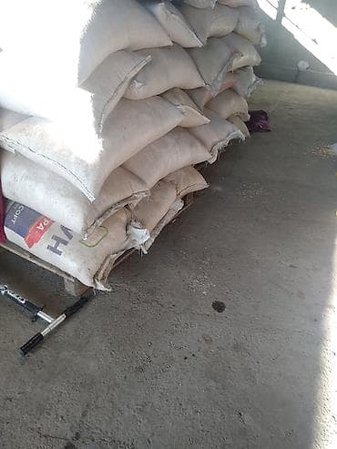 Баштыктар: Кап — 1