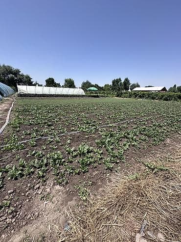 ленинское земля: 13 соток — 2