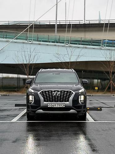 ceed: Hyundai Palisade: 2019 г., 2.2 л, Автомат, Дизель, Внедорожник — 5